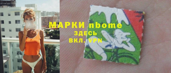 хмурый Алзамай